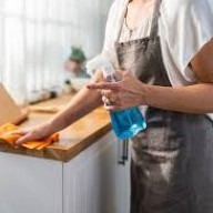Domestic Services 